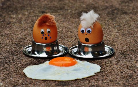 Egg Safety Alert: Salmonella Cases Linked to Contaminated Eggs