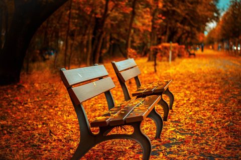 How Temperature Guides Autumn Heating Choices in France
