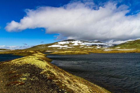 Norway’s Nobel Peace Prize Decision Fuels German Searches